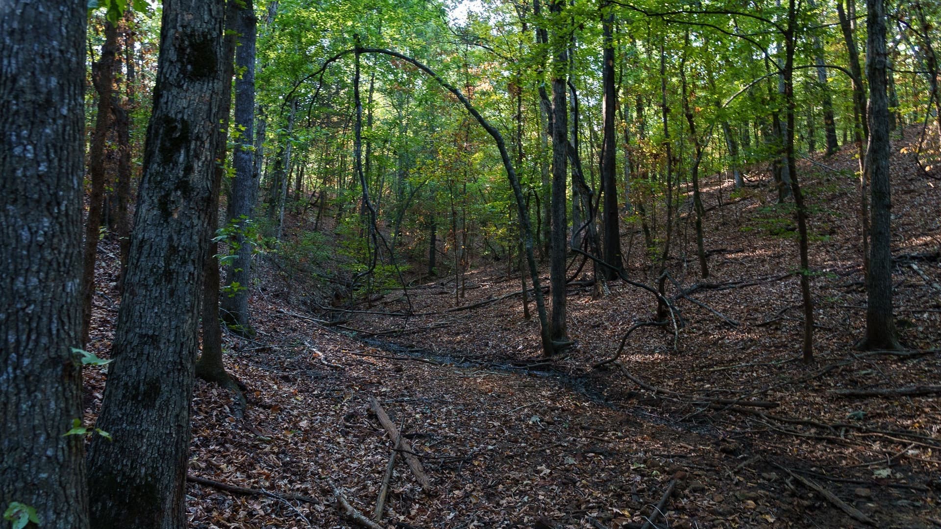 141.79 acres in Smith County - photo 27
