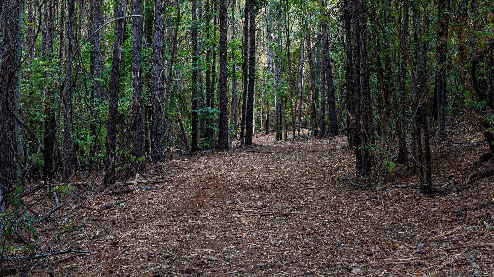 141.79 acres in Smith County - photo 34