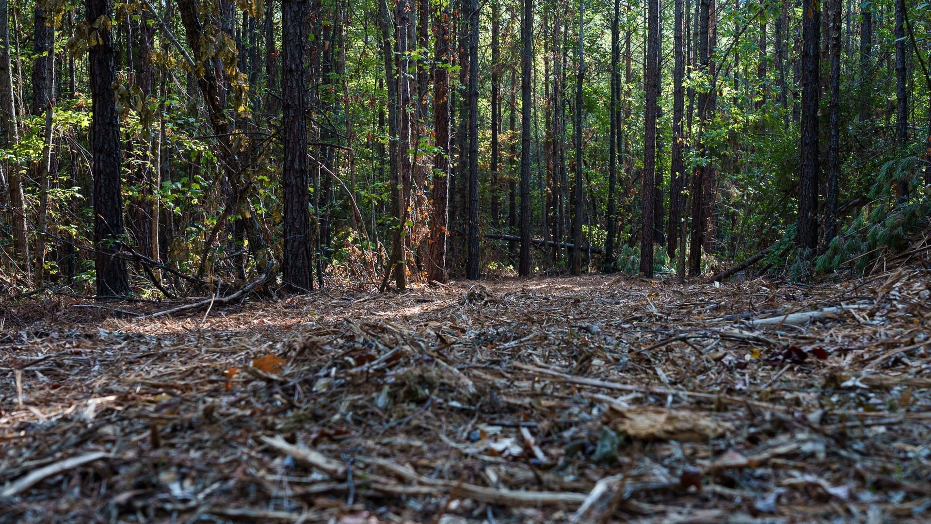 141.79 acres in Smith County - photo 30