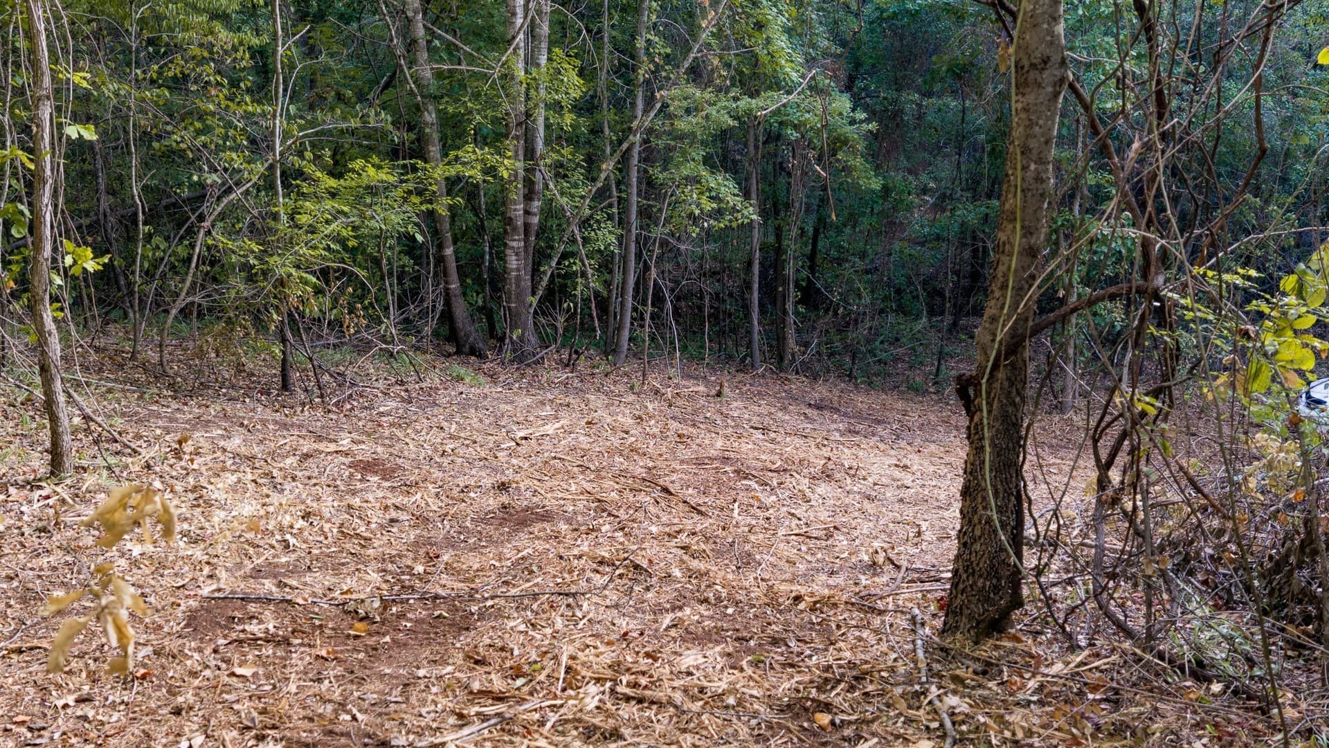 141.79 acres in Smith County - photo 19