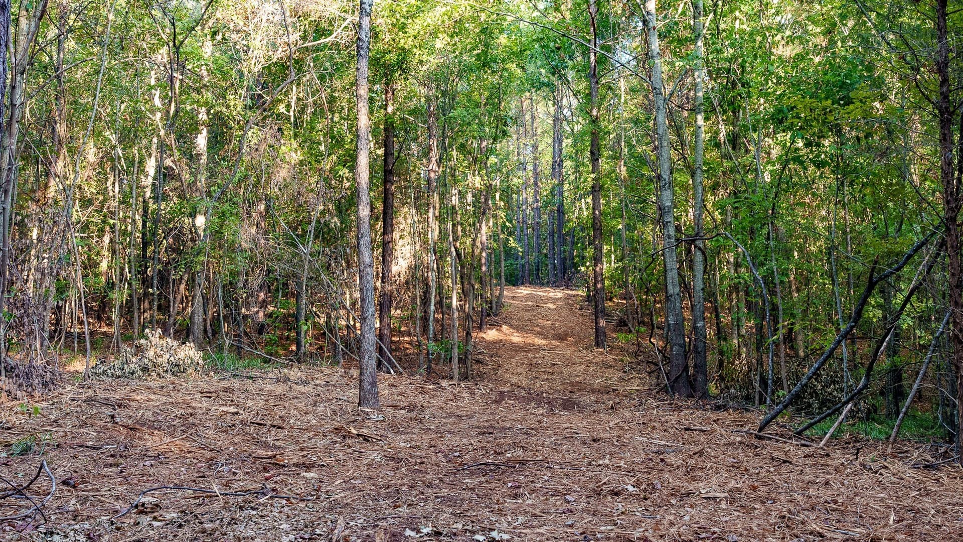 141.79 acres in Smith County - photo 21