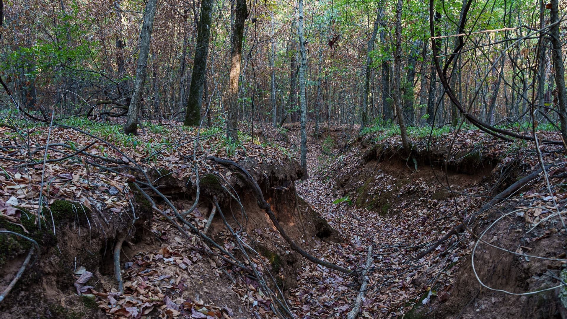 141.79 acres in Smith County - photo 23