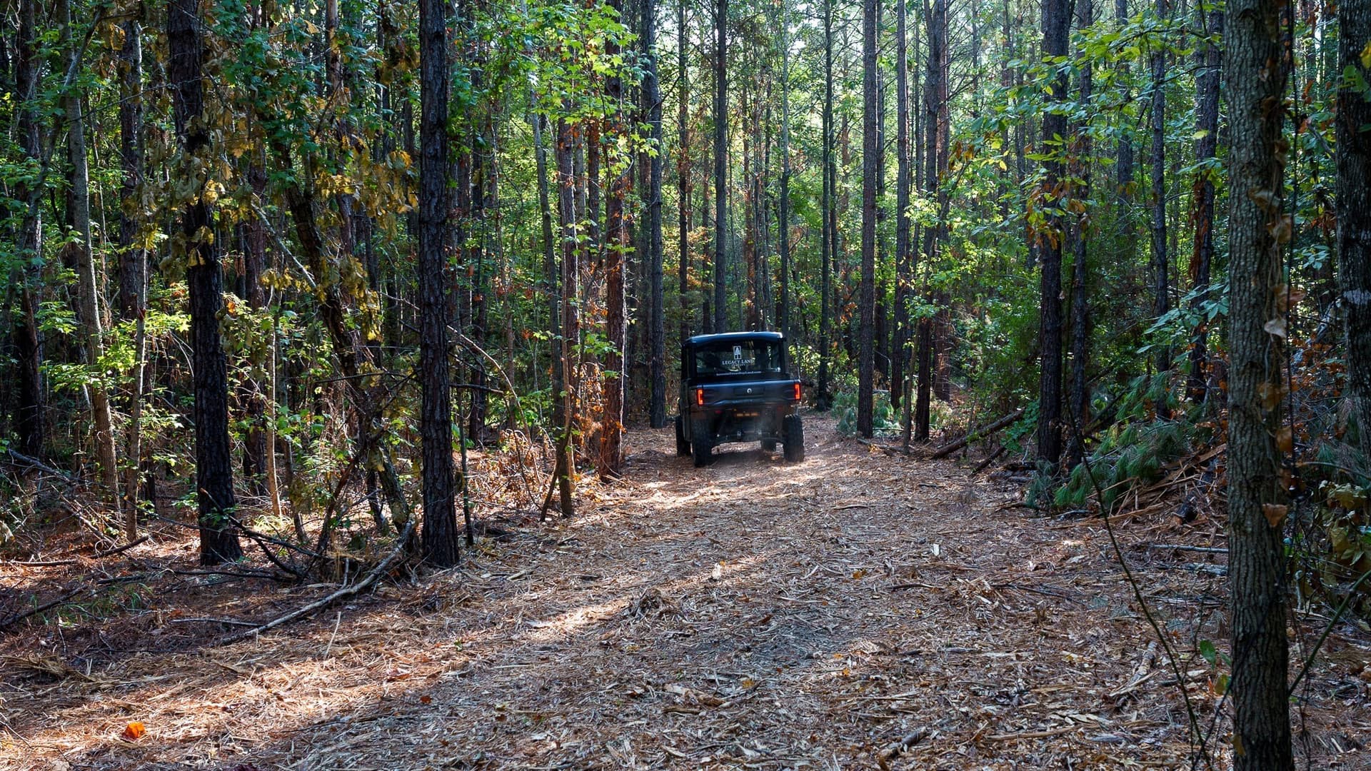 141.79 acres in Smith County - photo 28