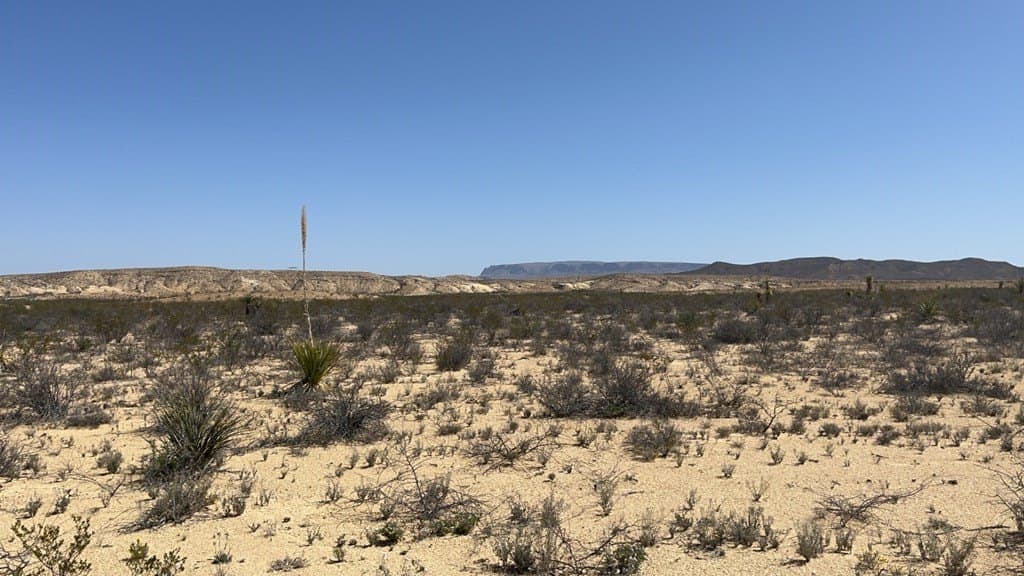 20 acres in Brewster County - photo 13