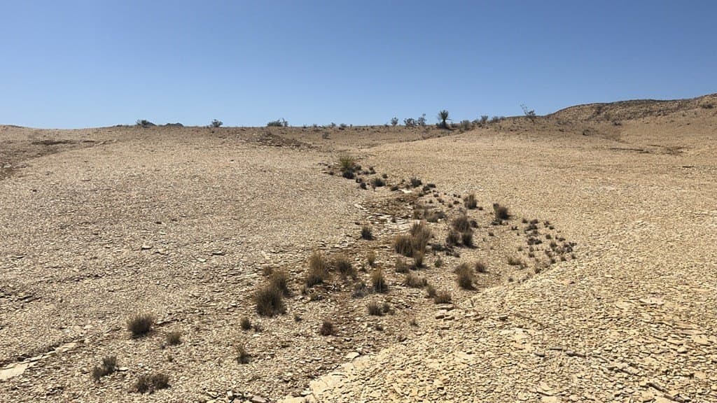 20 acres in Brewster County - photo 15