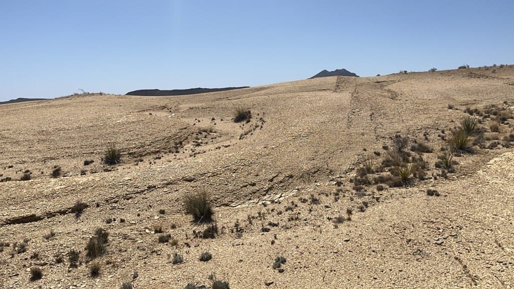 20 acres in Brewster County - photo 11