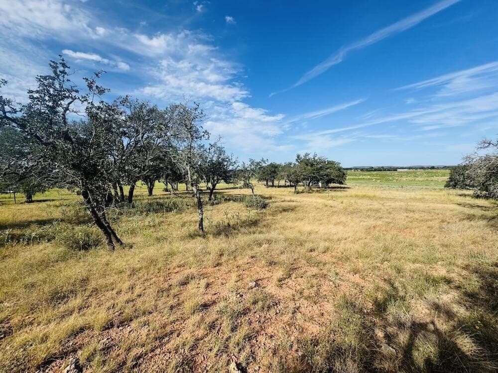 55 acres in Gillespie County - photo 10