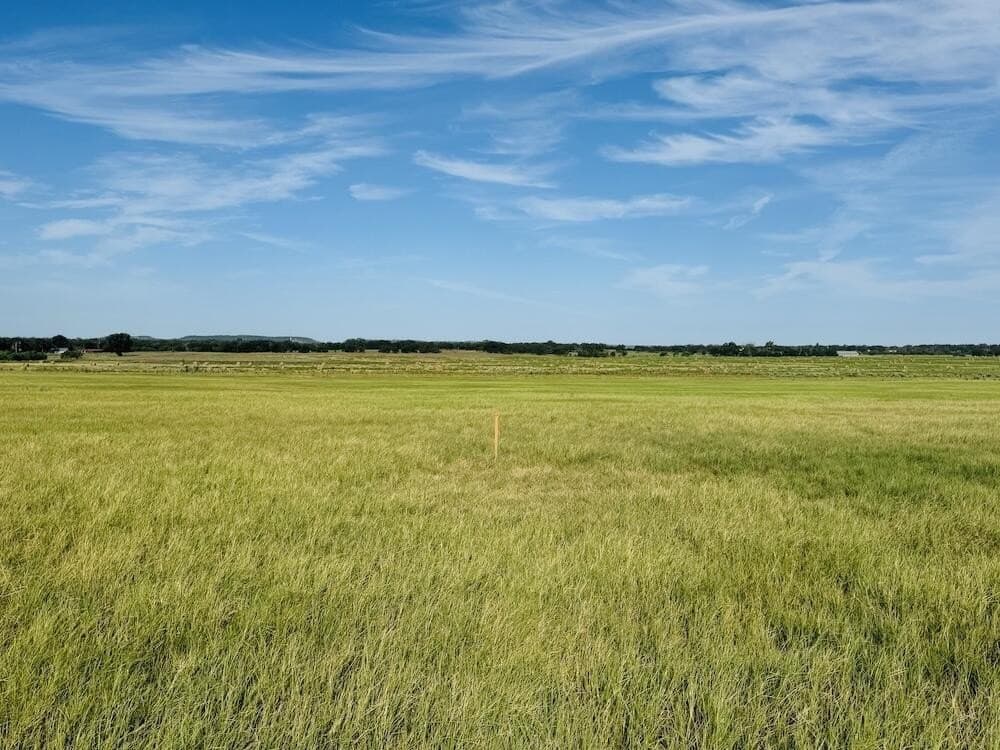 55 acres in Gillespie County - photo 2