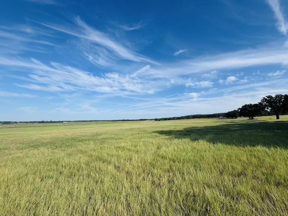 55 acres in Gillespie County - photo 6