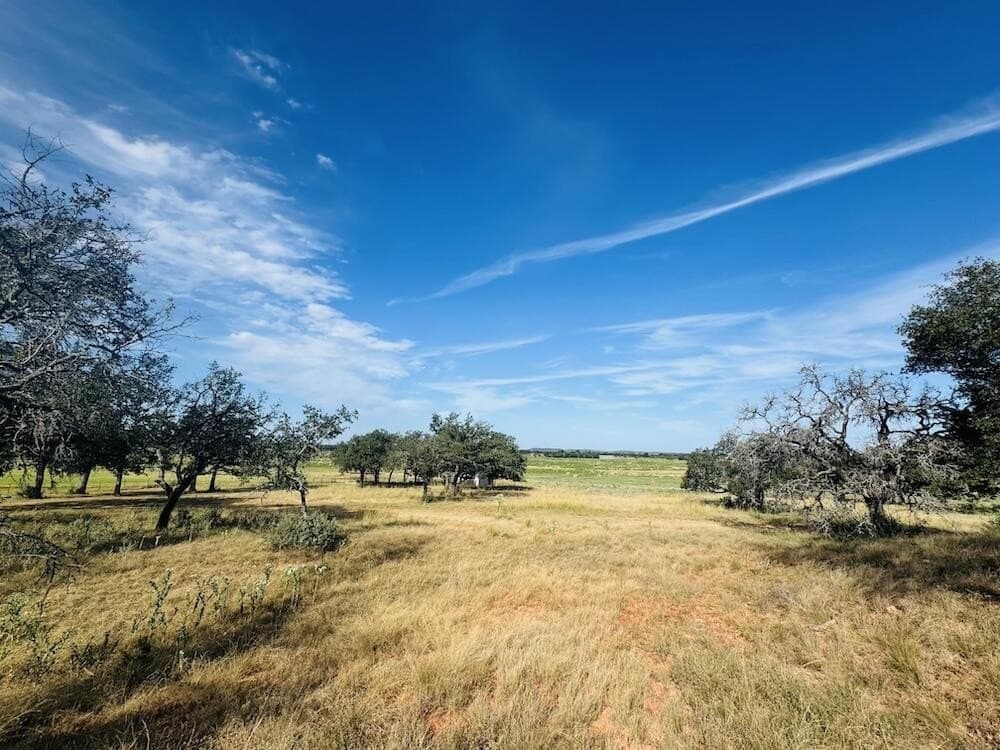 55 acres in Gillespie County - photo 9