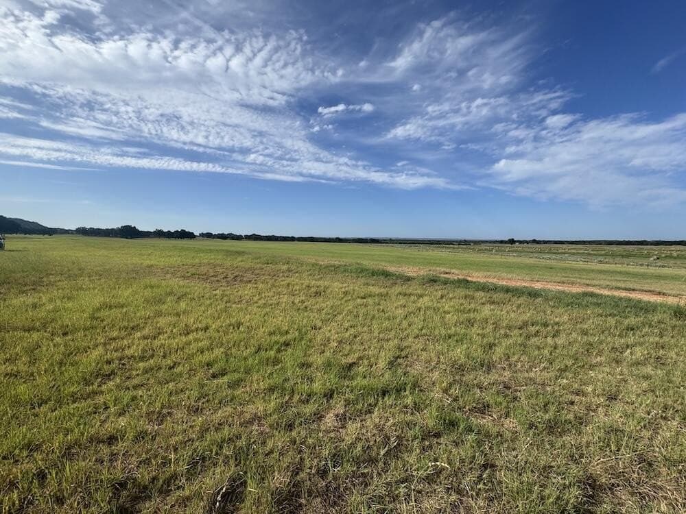 55 acres in Gillespie County - photo 3