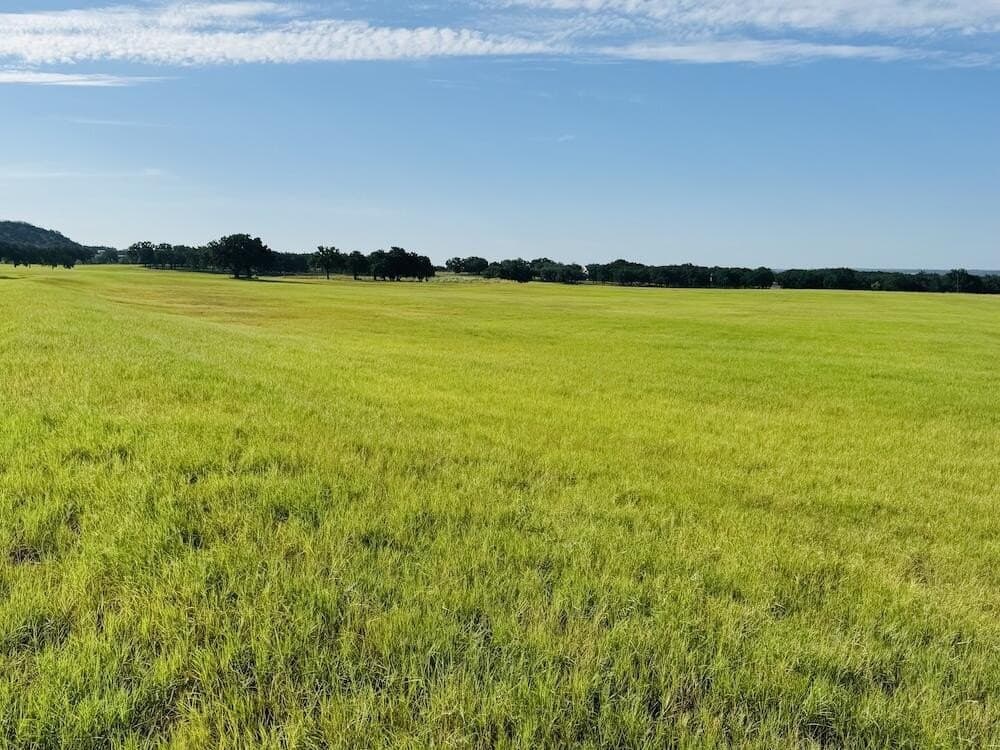 55 acres in Gillespie County - photo 4