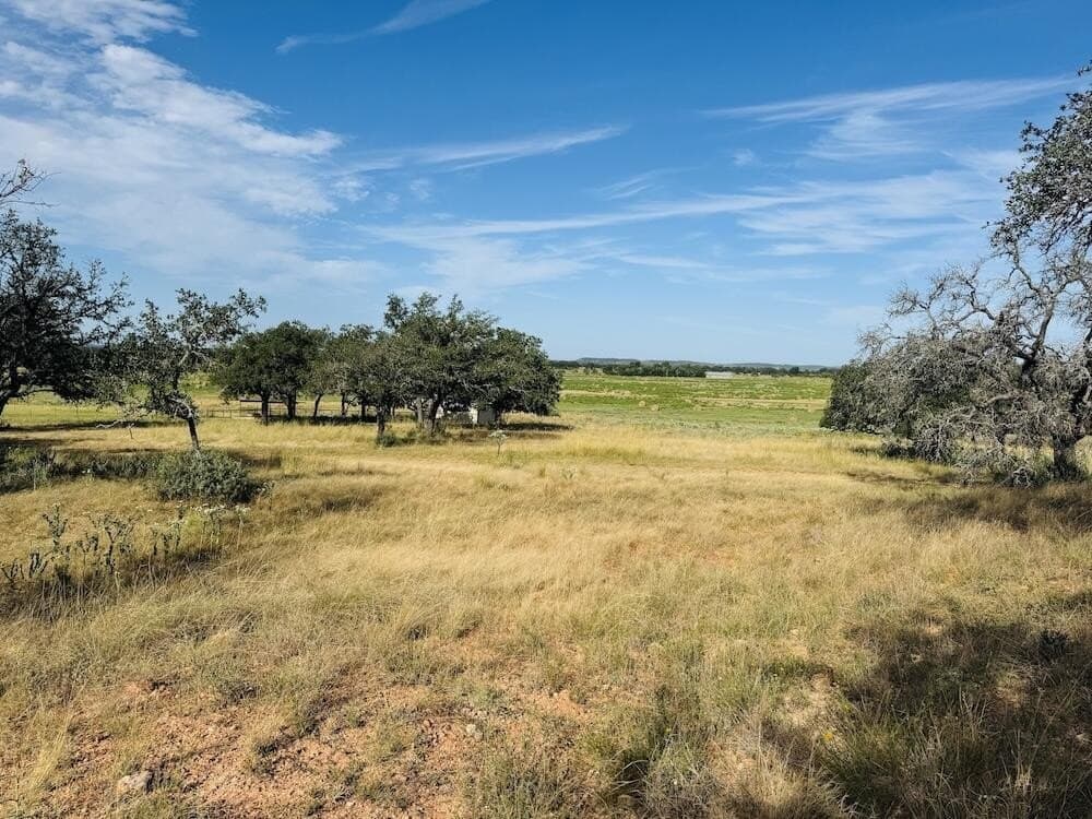 55 acres in Gillespie County - photo 12