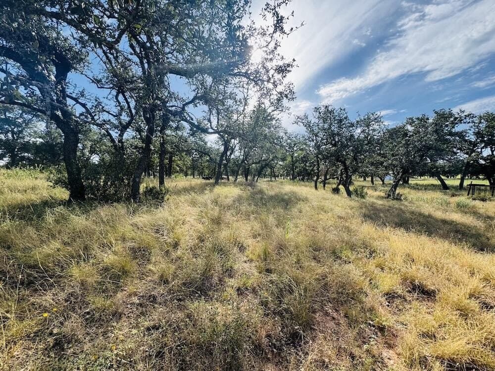 55 acres in Gillespie County - photo 11