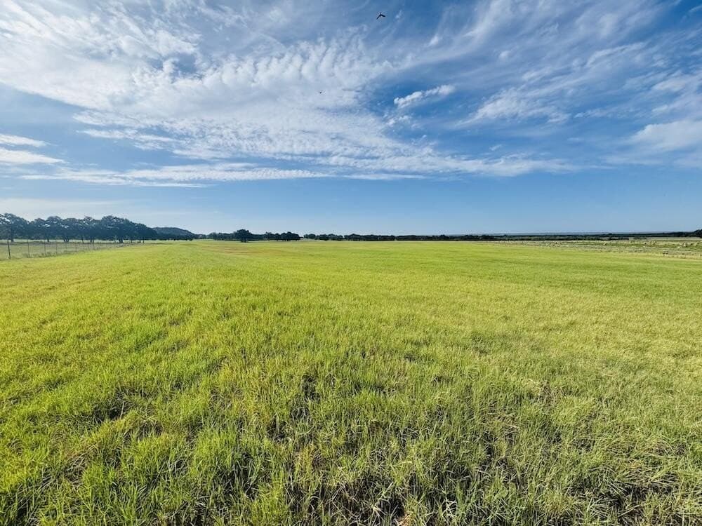 55 acres in Gillespie County - photo 5