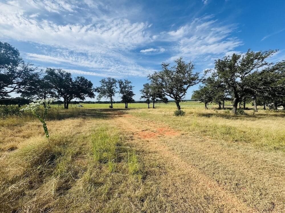 55 acres in Gillespie County - photo 8