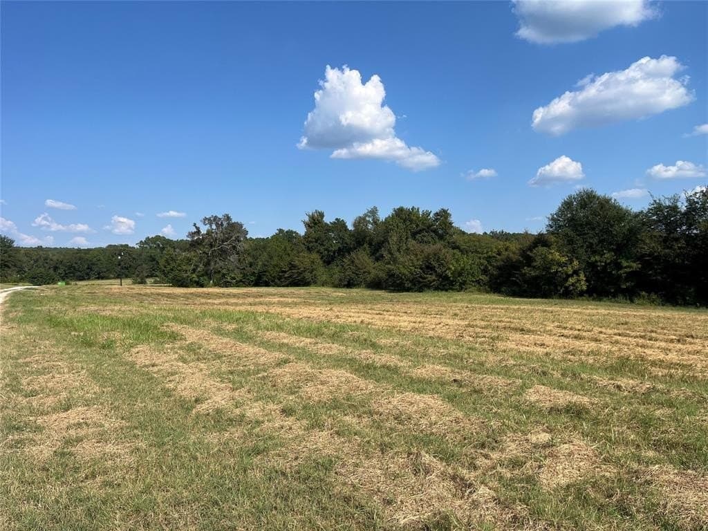 24 acres in Van Zandt County featured view