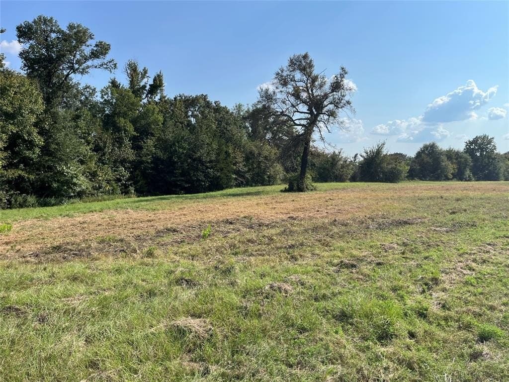 24 acres in Van Zandt County gallery image 3