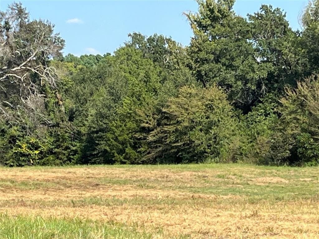 24 acres in Van Zandt County gallery image 4