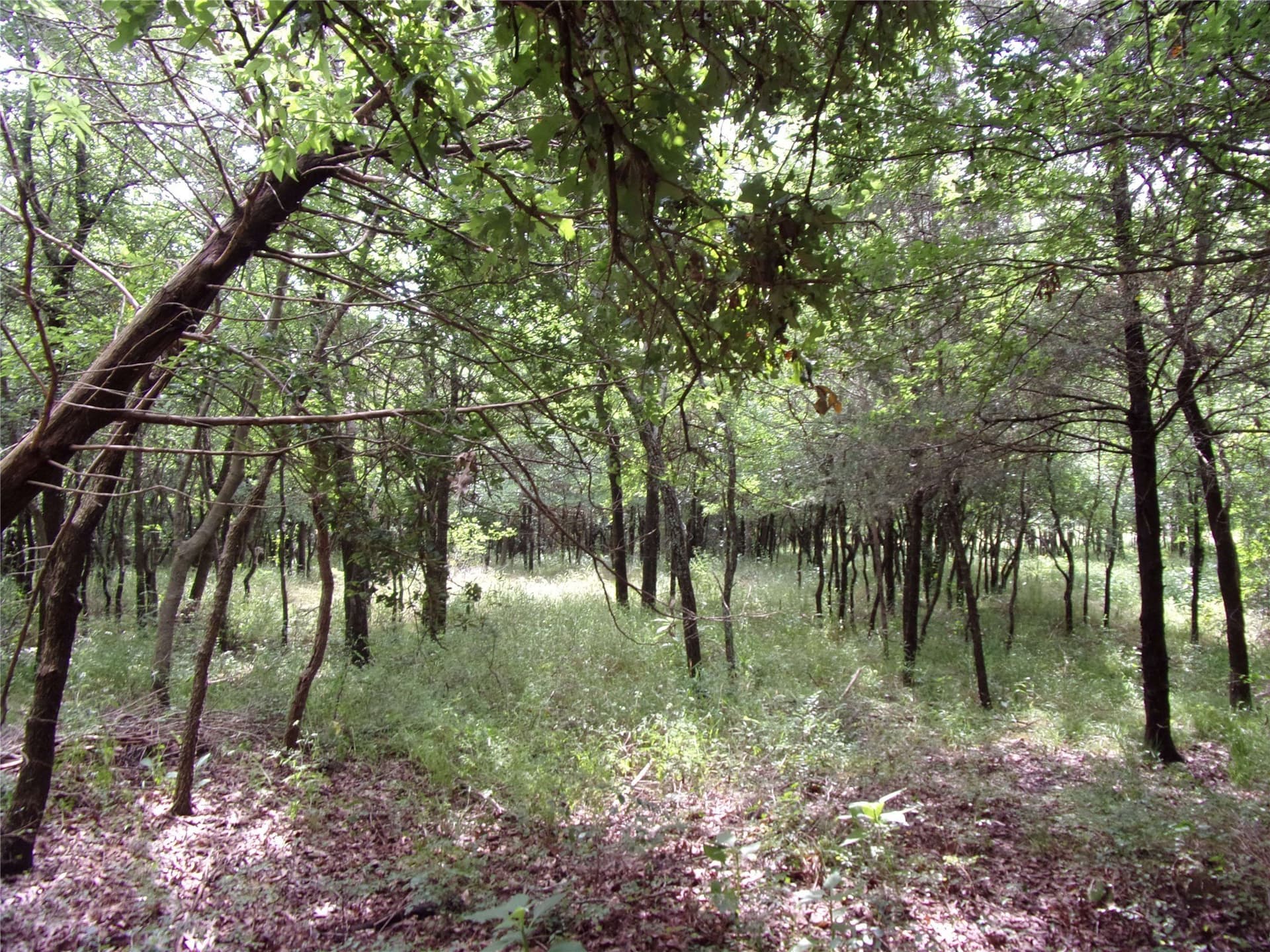 1.06 acres in Hunt County - photo 14