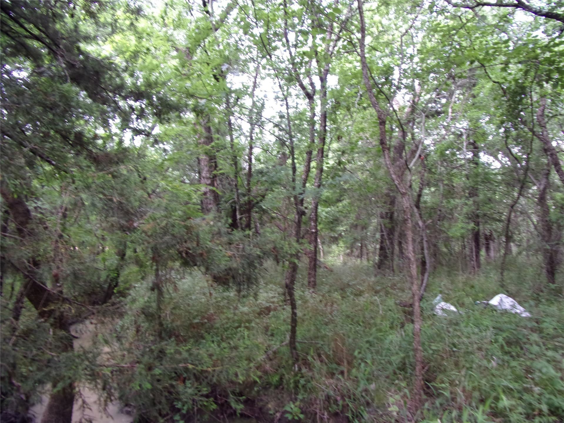 1.06 acres in Hunt County - photo 23