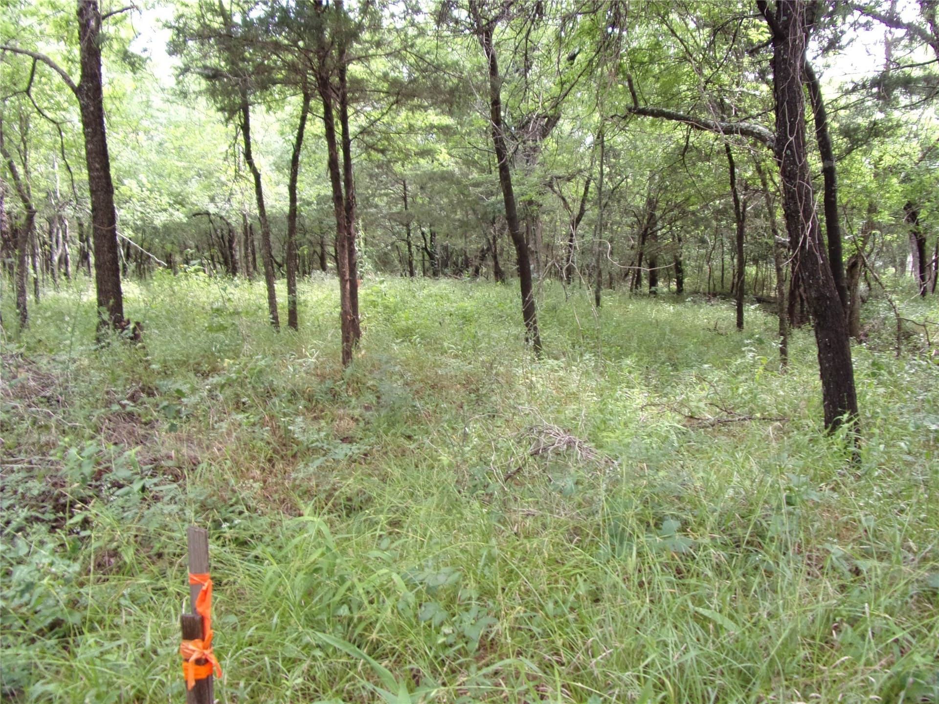 1.06 acres in Hunt County - photo 16