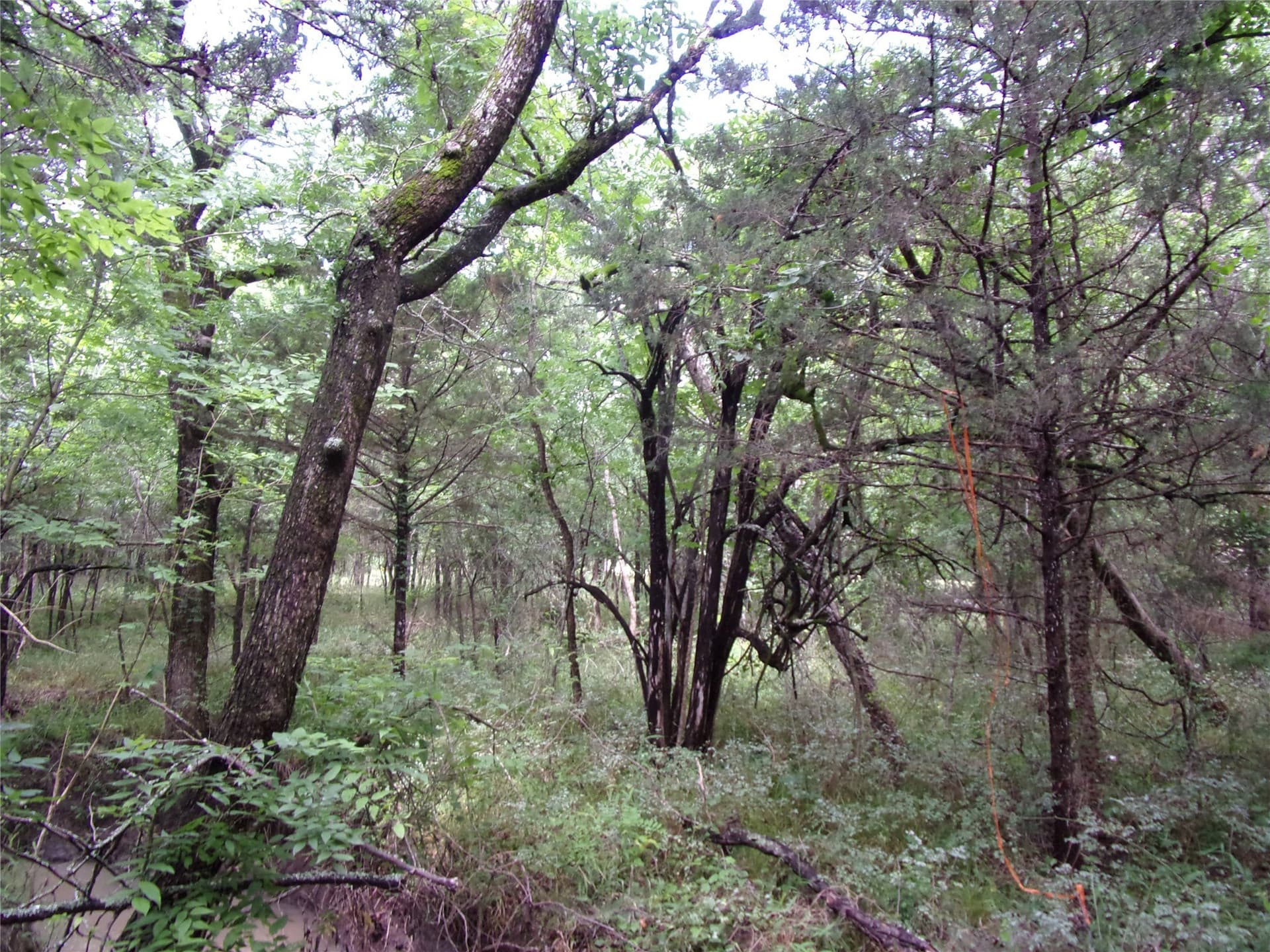 1.06 acres in Hunt County - photo 27