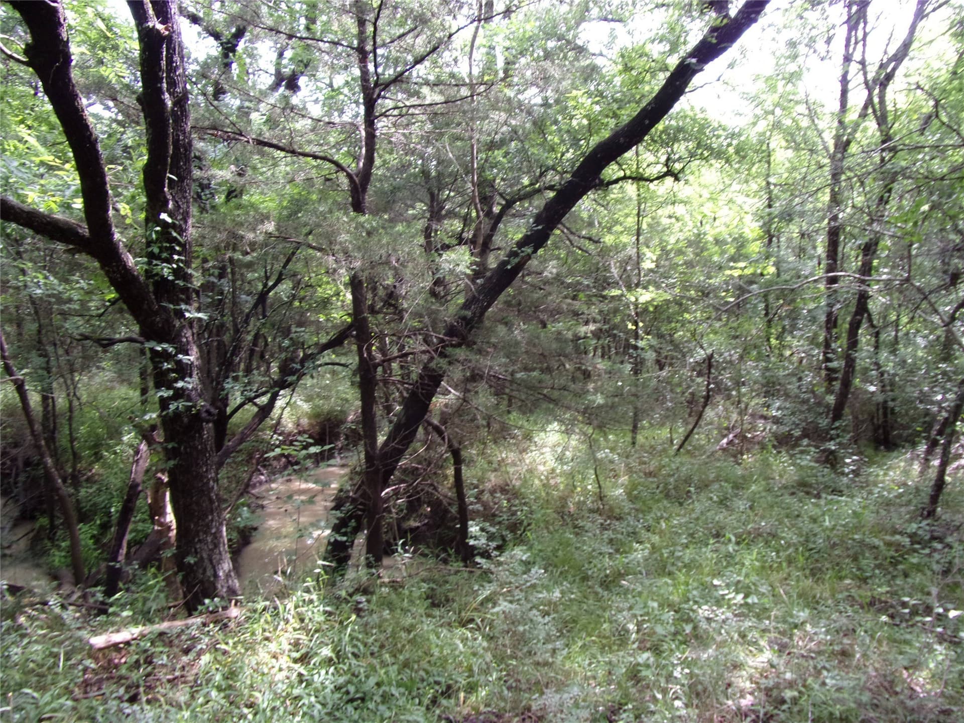 1.06 acres in Hunt County - photo 19