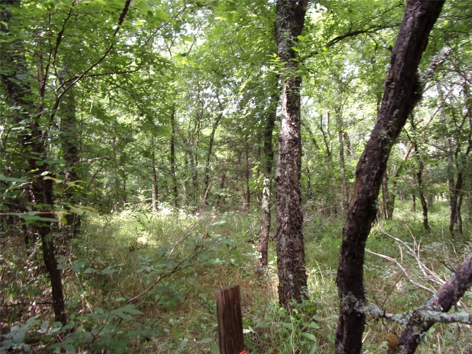 1.06 acres in Hunt County - photo 25
