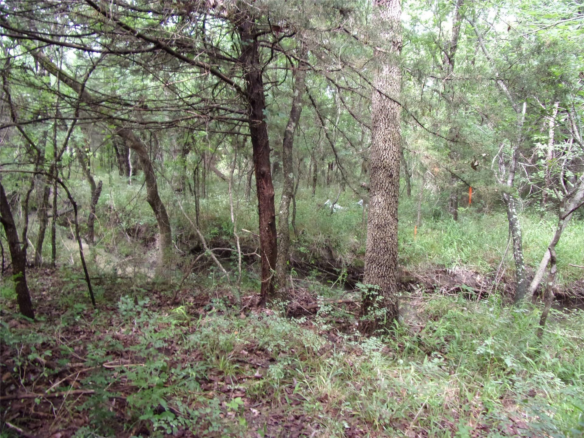 1.06 acres in Hunt County - photo 22