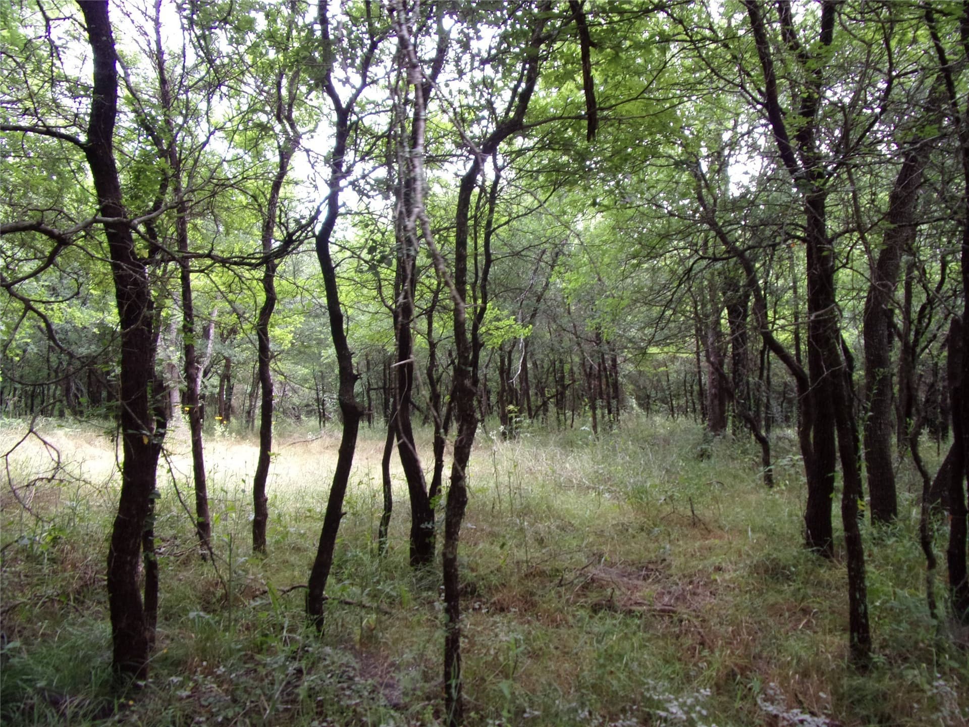 1.06 acres in Hunt County - photo 15