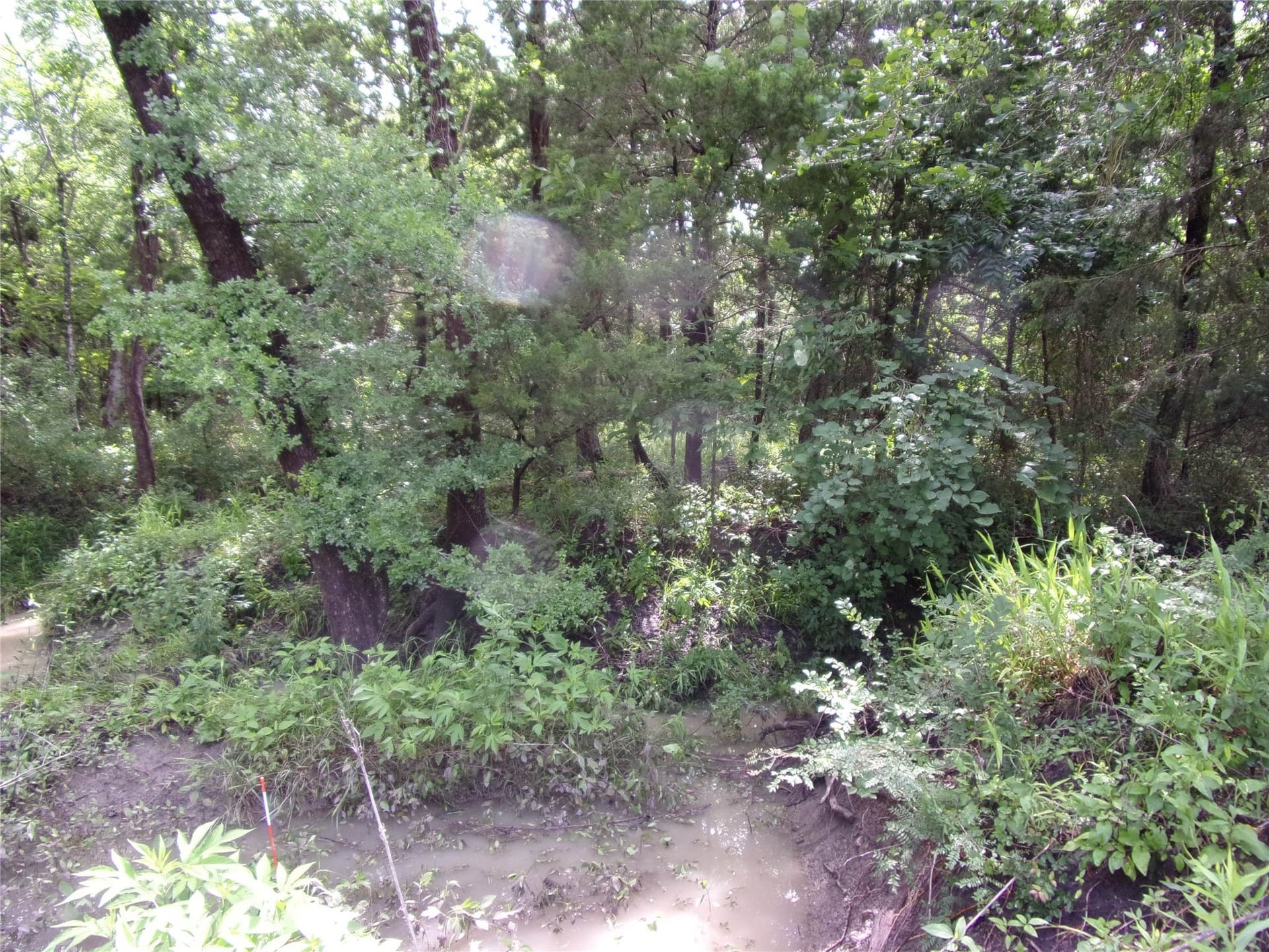 1.06 acres in Hunt County - photo 12