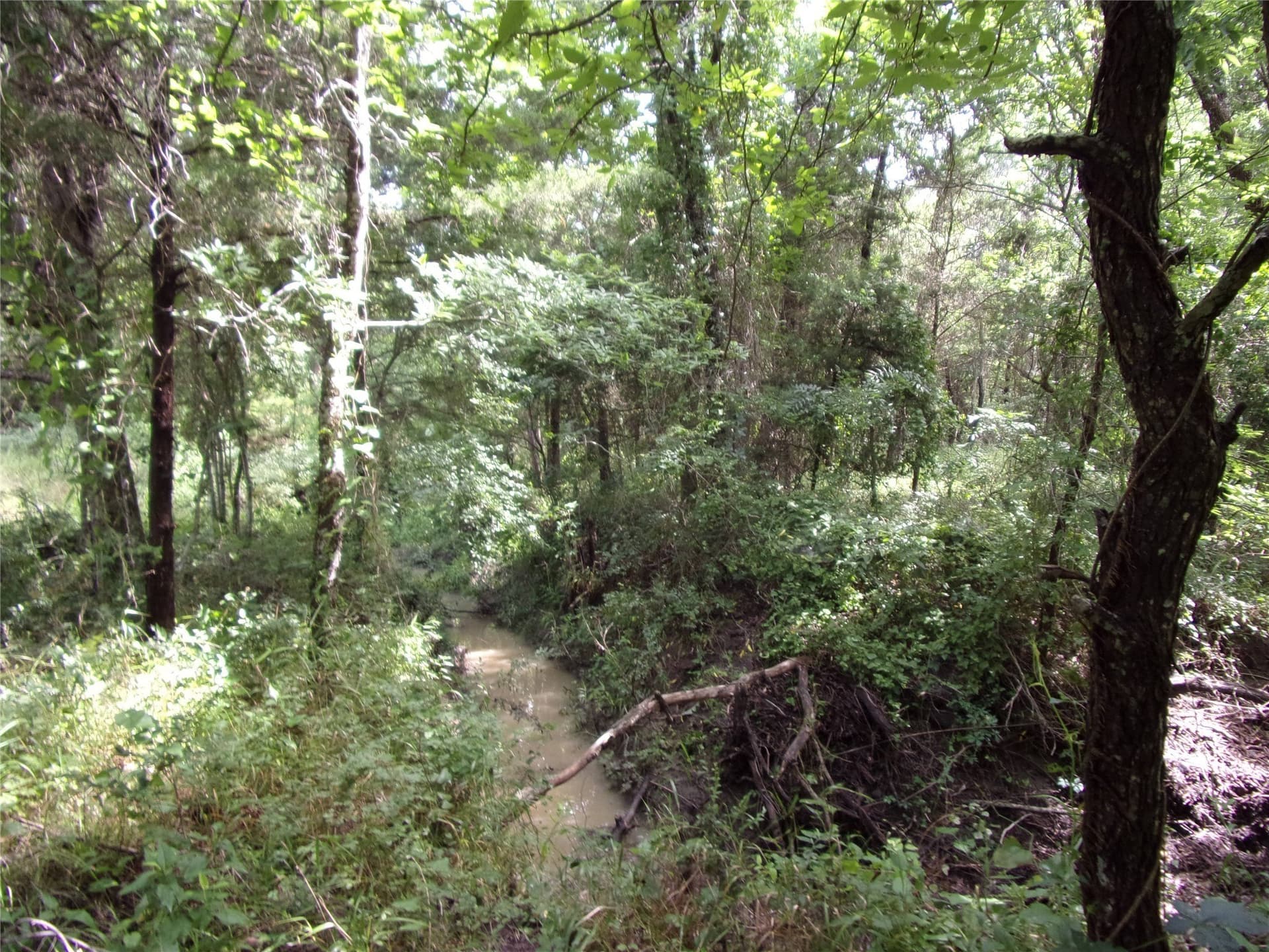 1.06 acres in Hunt County - photo 29