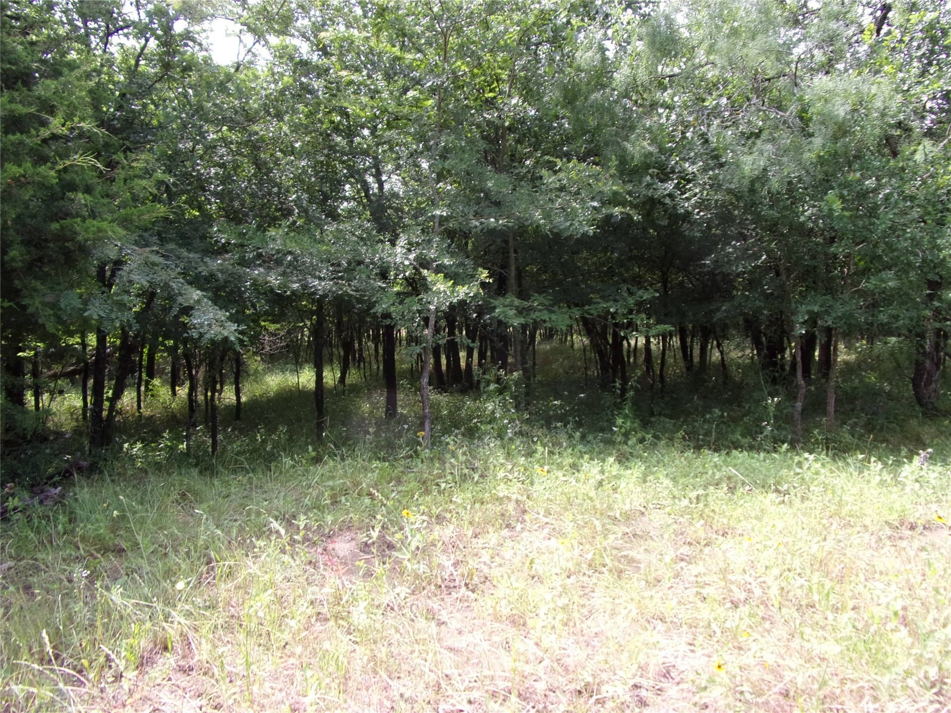 1.06 acres in Hunt County - photo 11