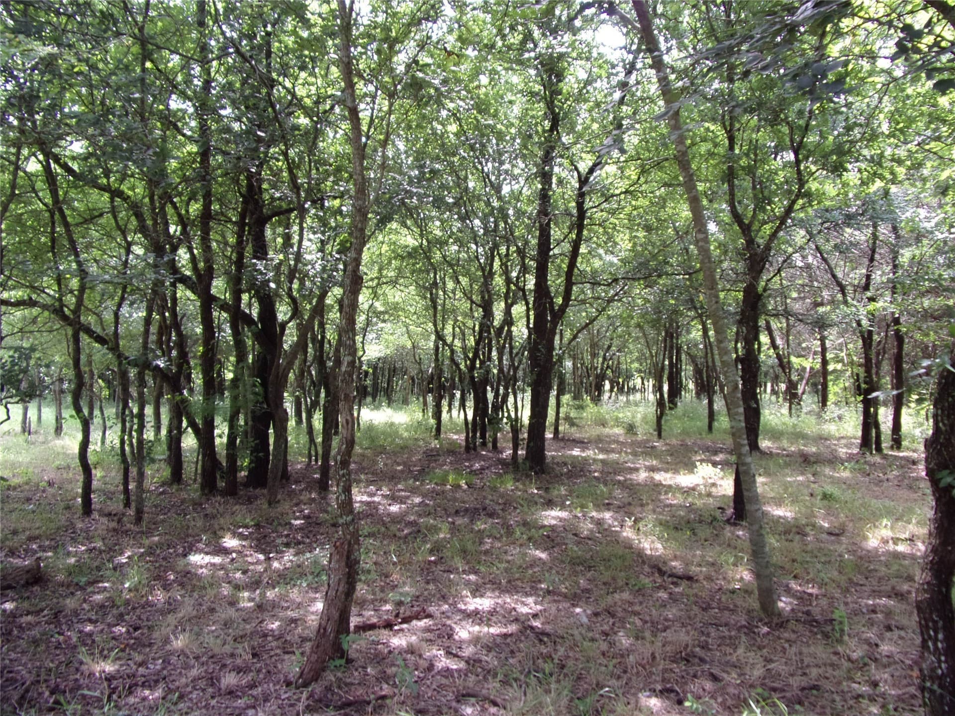 1.06 acres in Hunt County - photo 30
