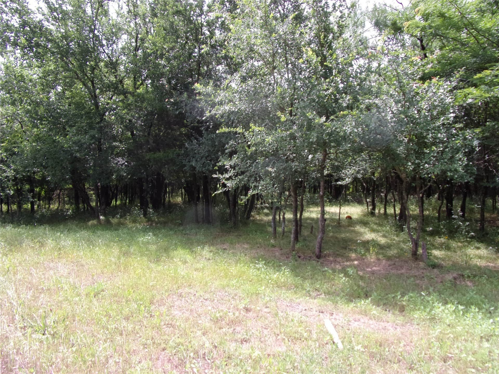 1.06 acres in Hunt County - photo 9