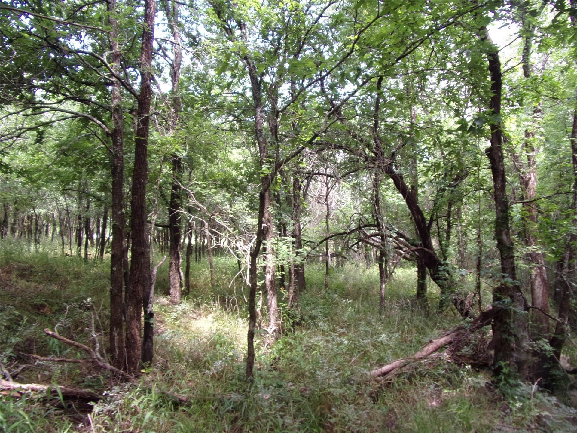 1.06 acres in Hunt County - photo 28