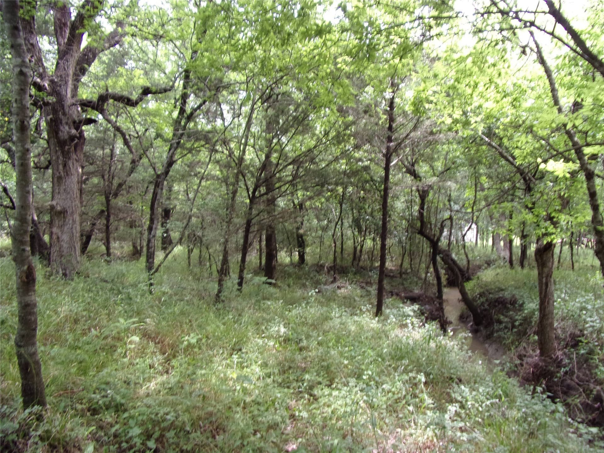 1.06 acres in Hunt County - photo 17
