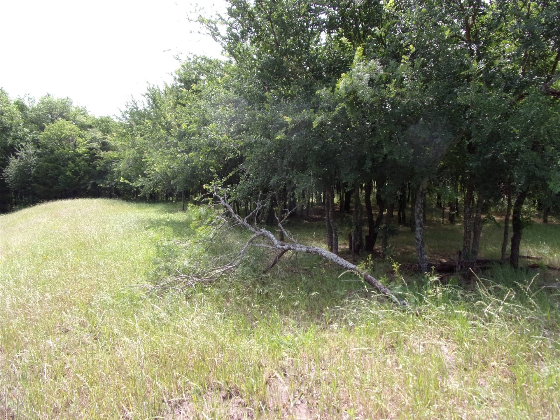 1.06 acres in Hunt County - photo 8