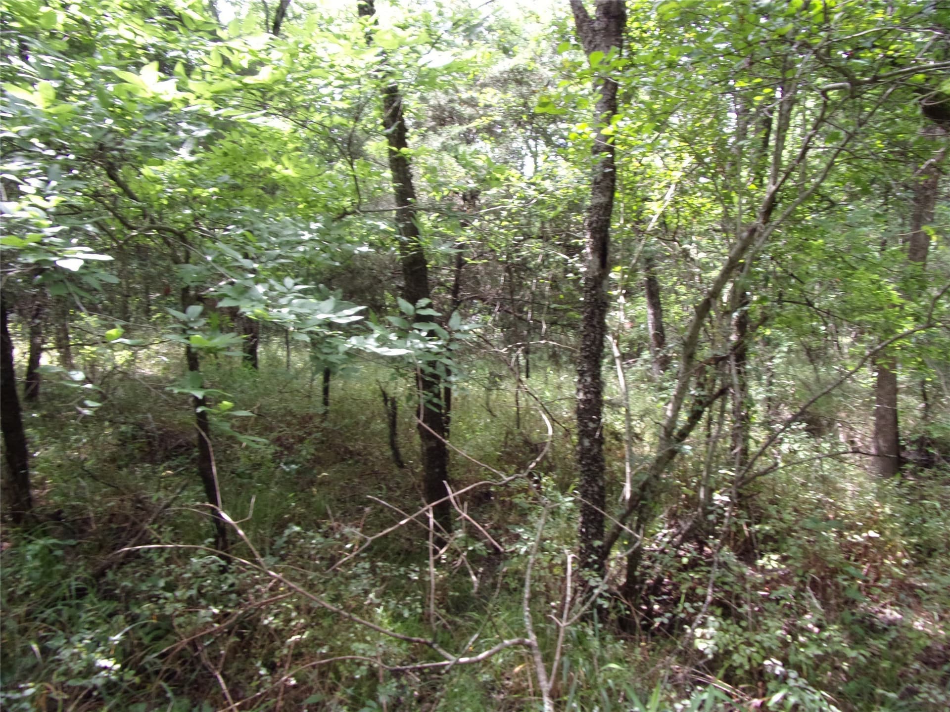 1.06 acres in Hunt County - photo 26