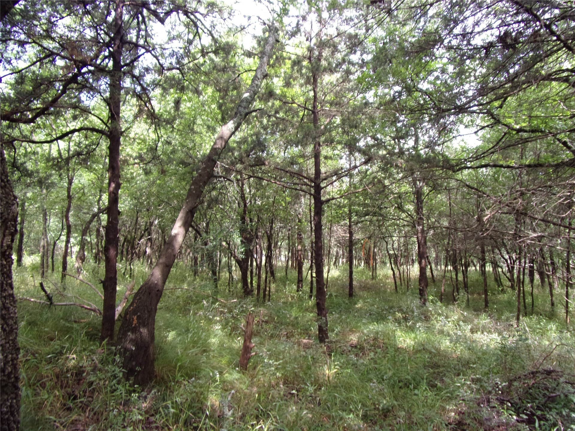 1.06 acres in Hunt County - photo 18
