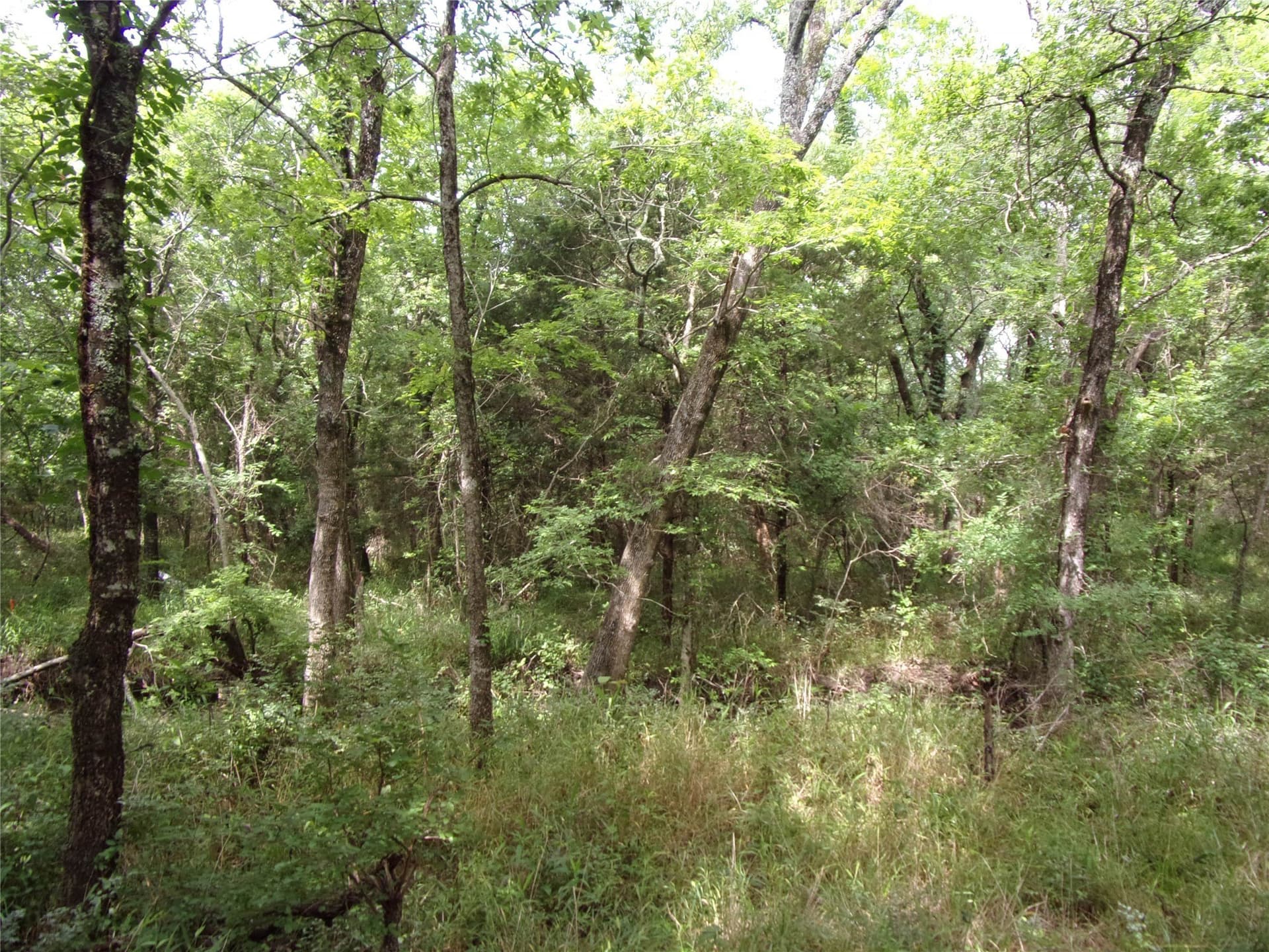 1.06 acres in Hunt County - photo 24