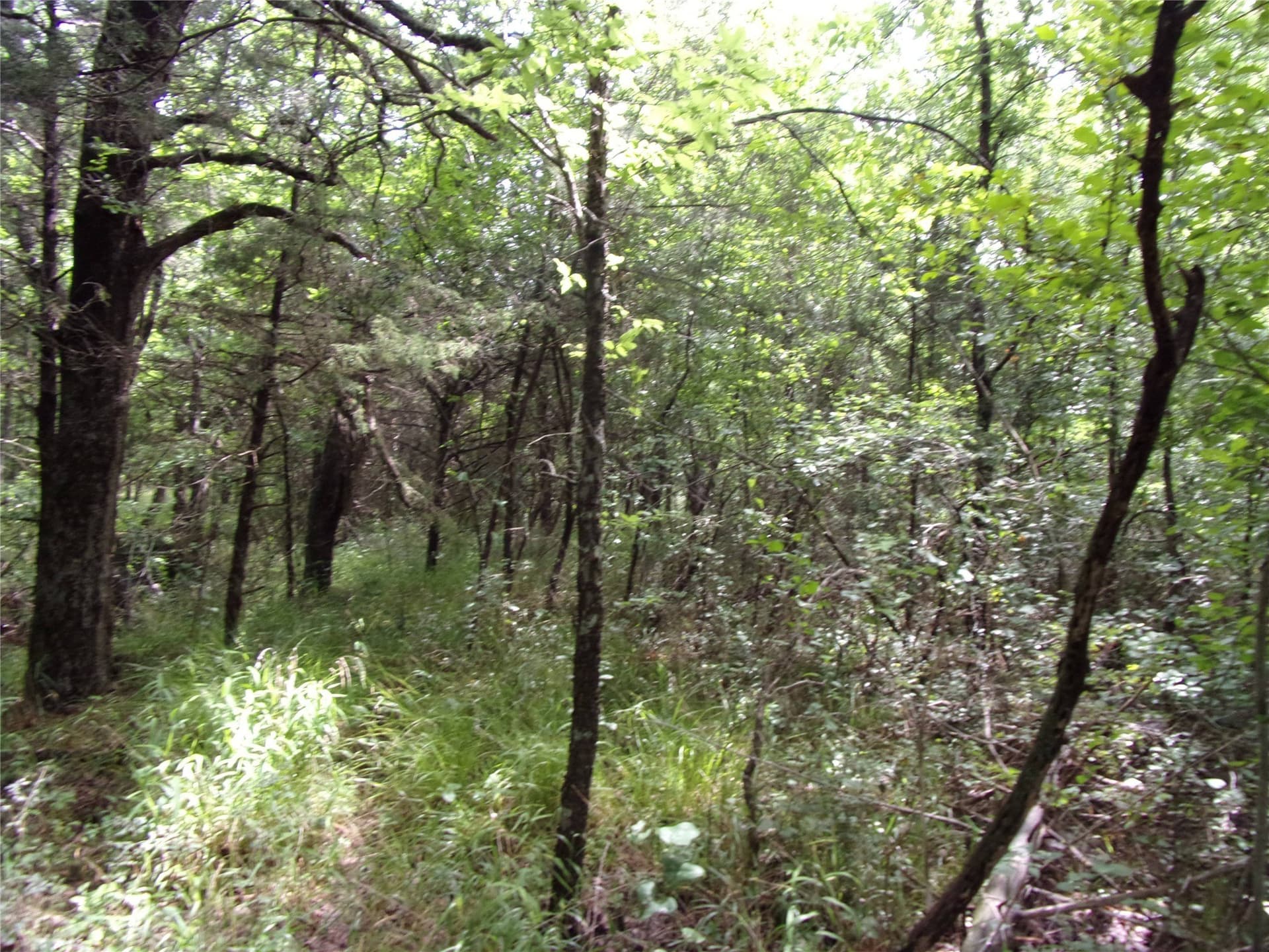 1.06 acres in Hunt County - photo 20
