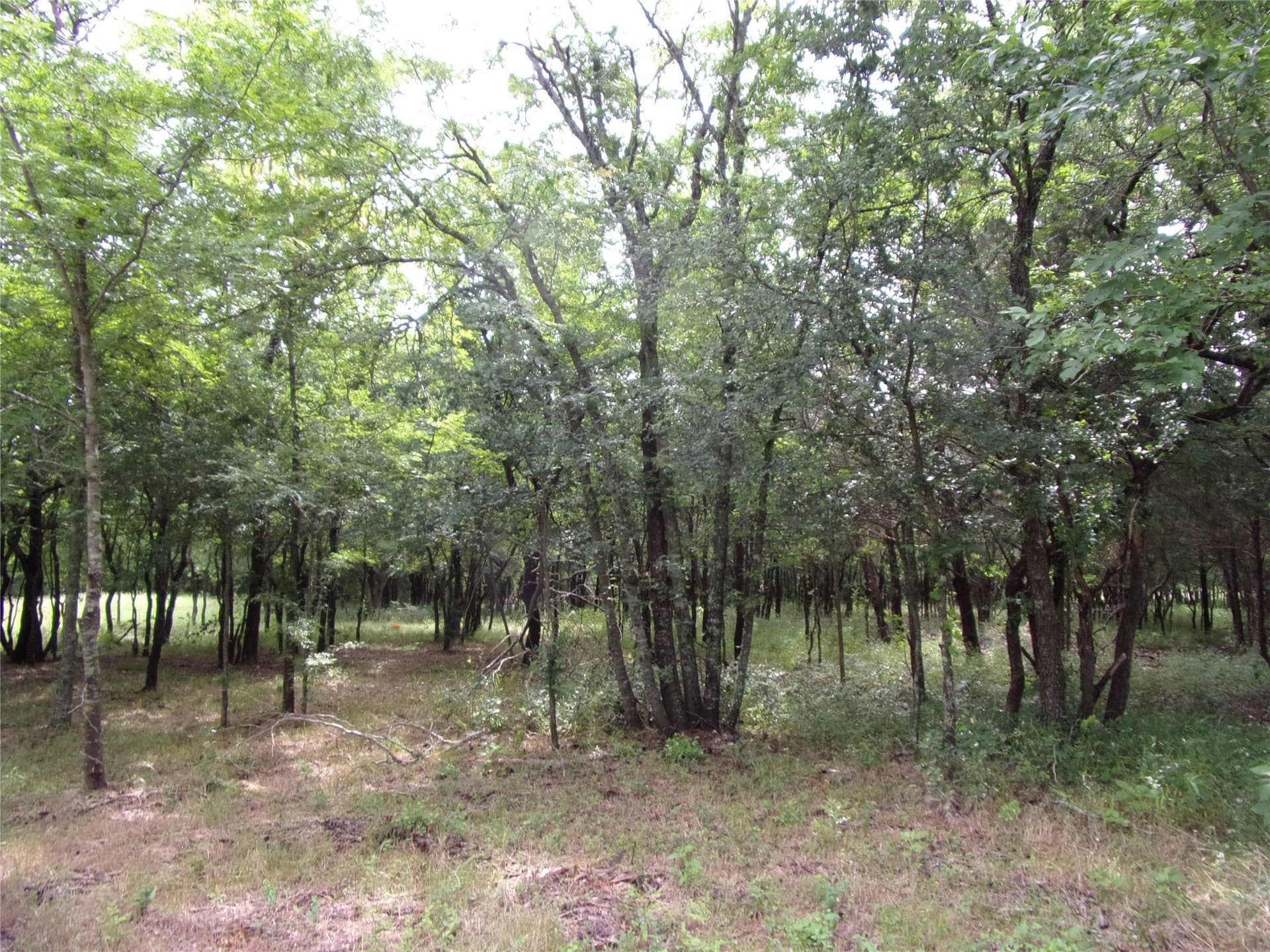 1.06 acres in Hunt County - photo 13