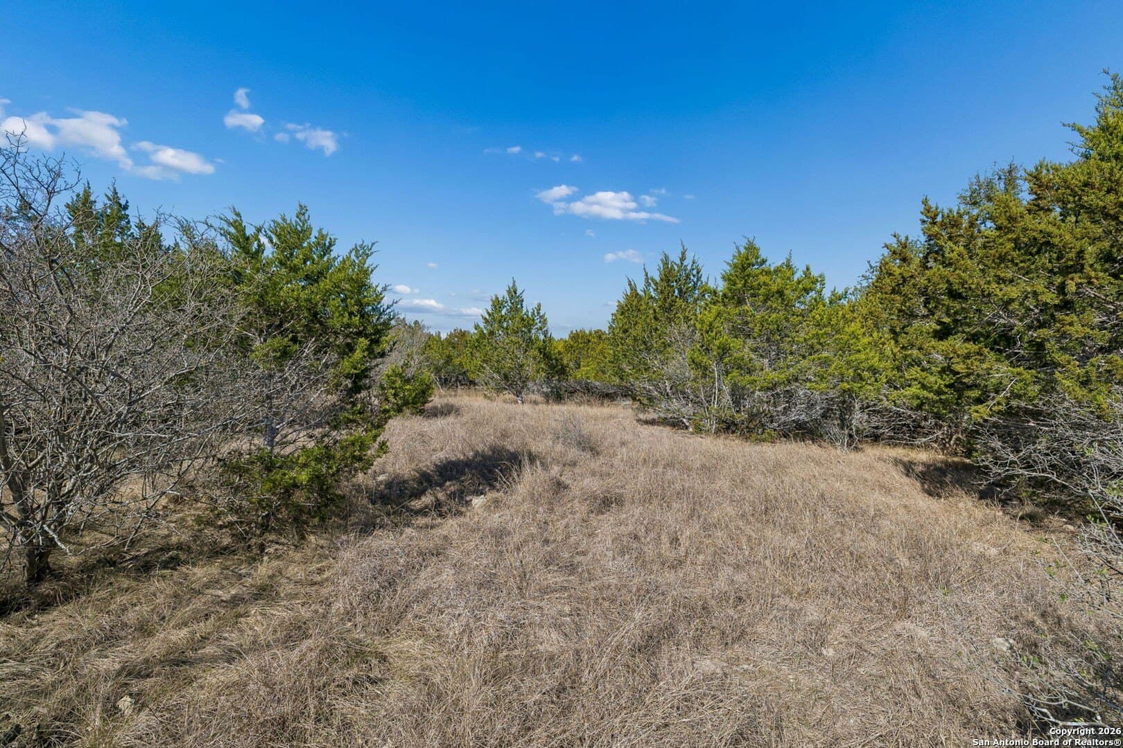 2.4 acres in Bandera County - photo 21