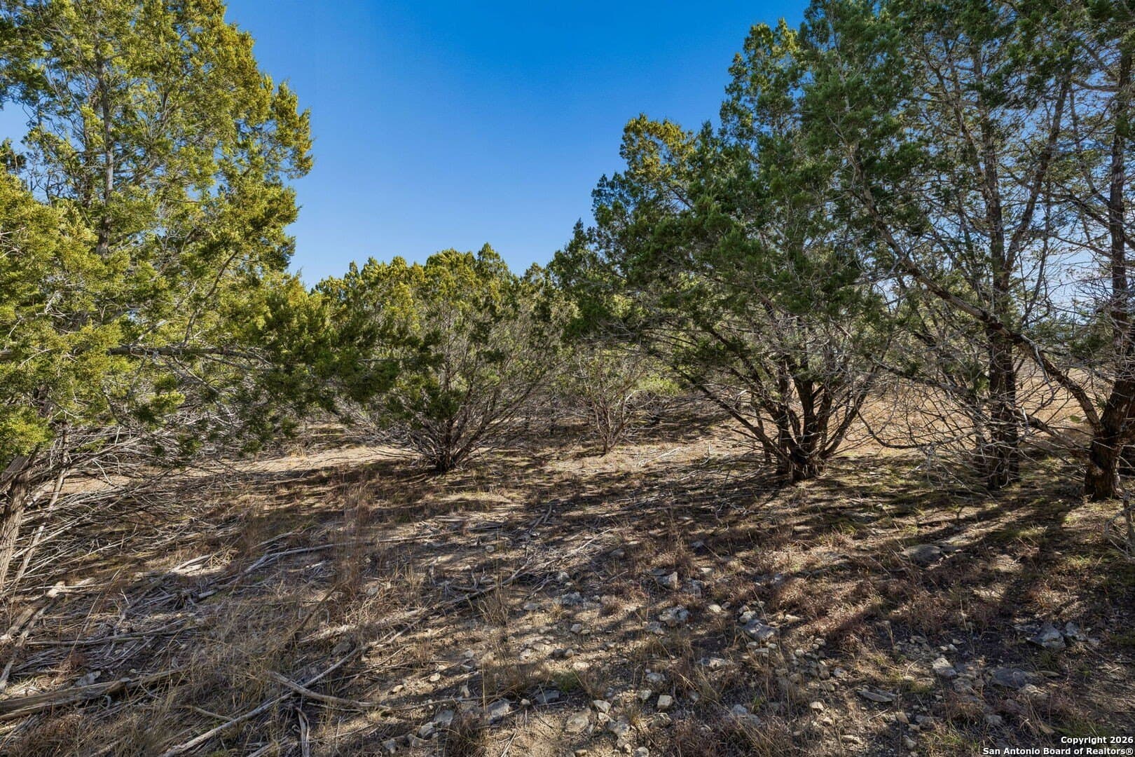 2.4 acres in Bandera County - photo 17