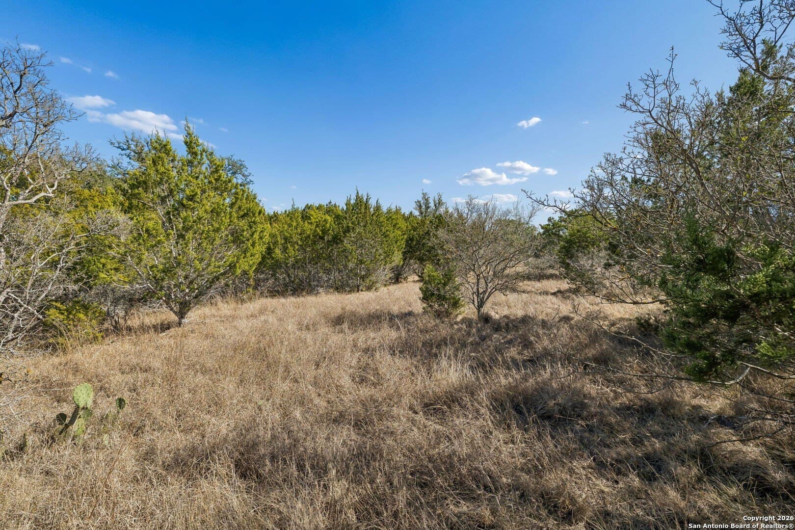 2.4 acres in Bandera County - photo 19