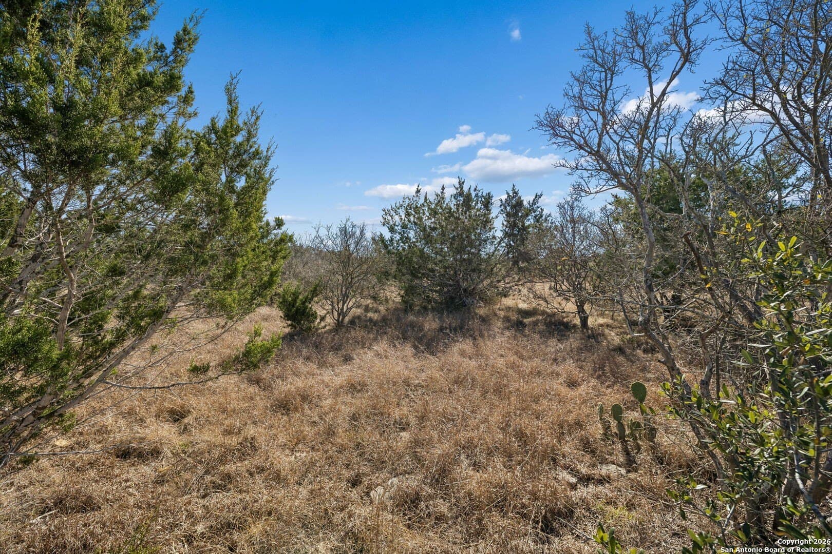 2.4 acres in Bandera County - photo 20