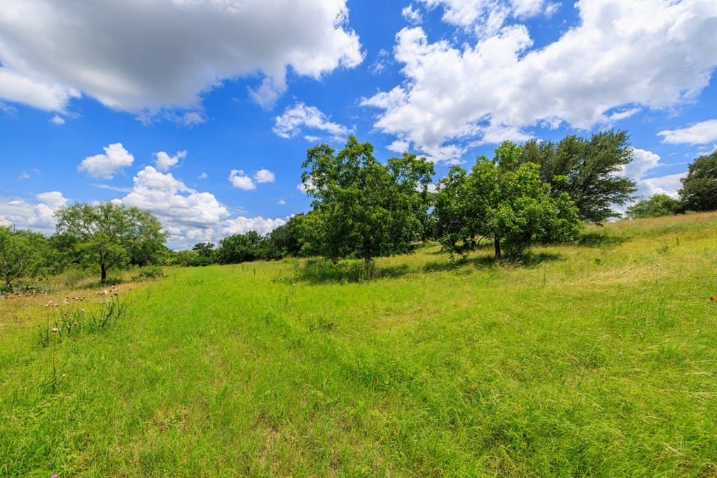 16.29 acres in Gillespie County - photo 35