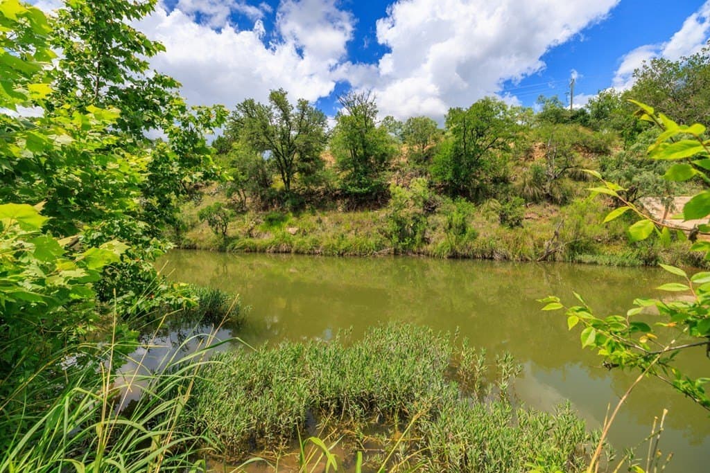 16.29 acres in Gillespie County - photo 39